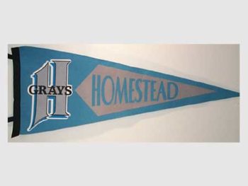 Homestead Grays Retro Logo Pennant